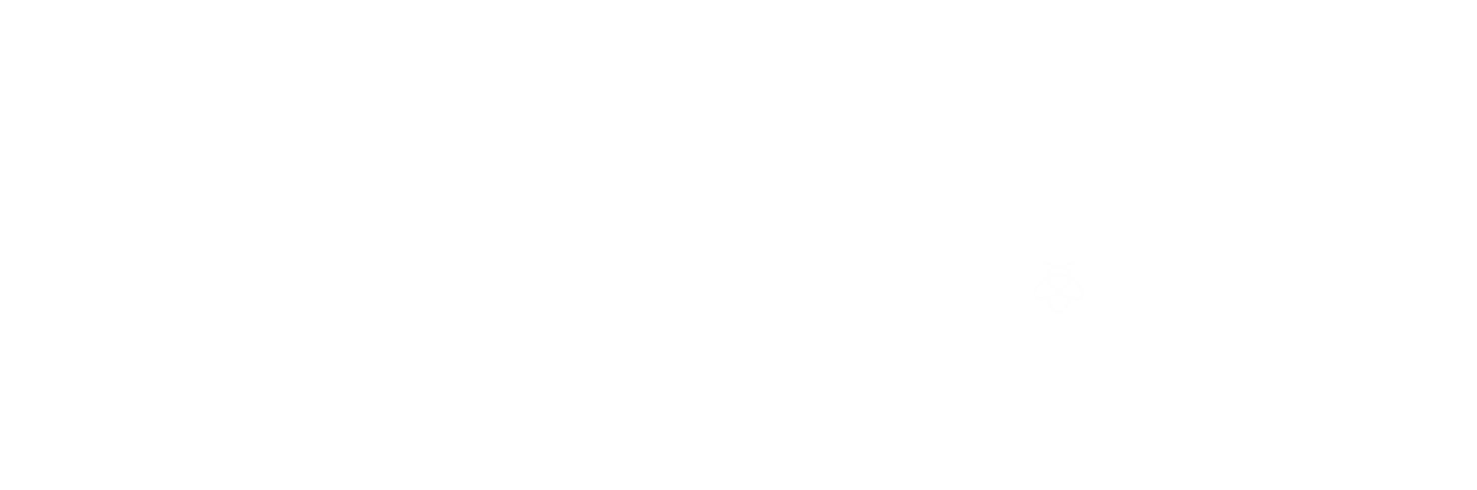 Dronefly.sg Logo